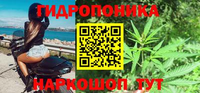 ECSTASY Бердск