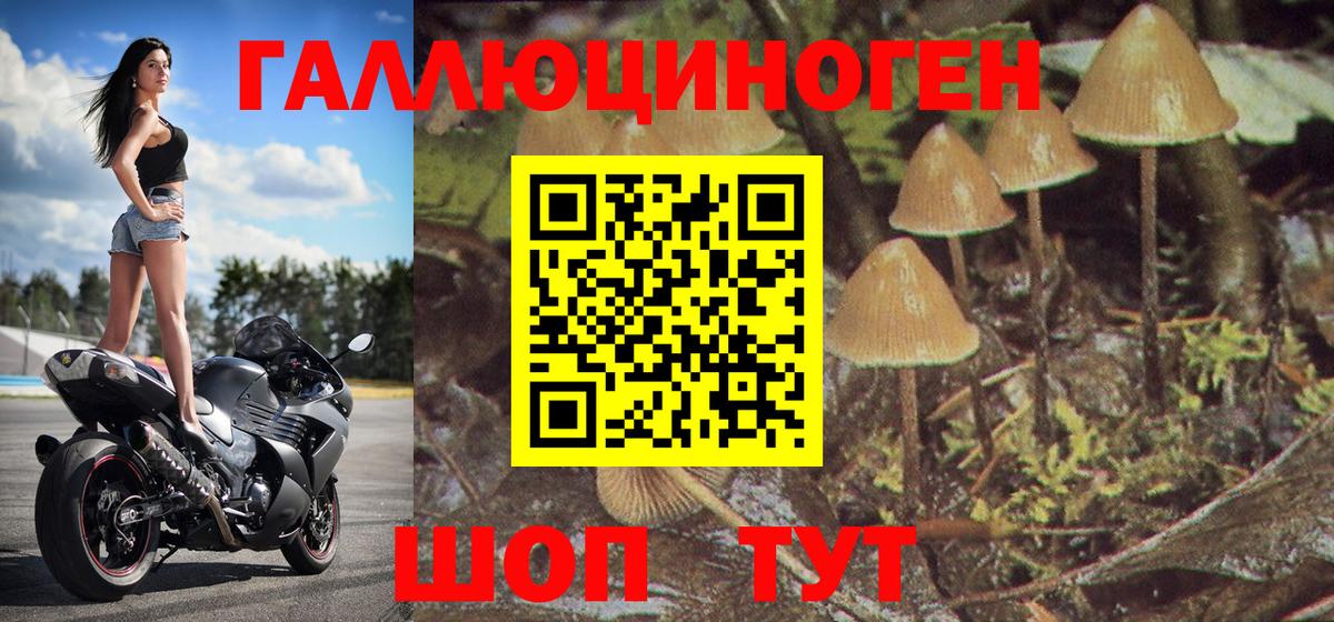 Псилоцибиновые грибы прущие грибы  Галлюциногенные грибы мухоморы  Дзержинск  Вход с VPN 